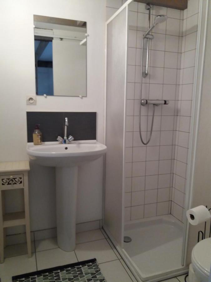 Chambre D'Hotes La Thibaudiere 布雷叙尔 外观 照片